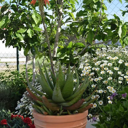 With Parking Space Rab - 12383 *